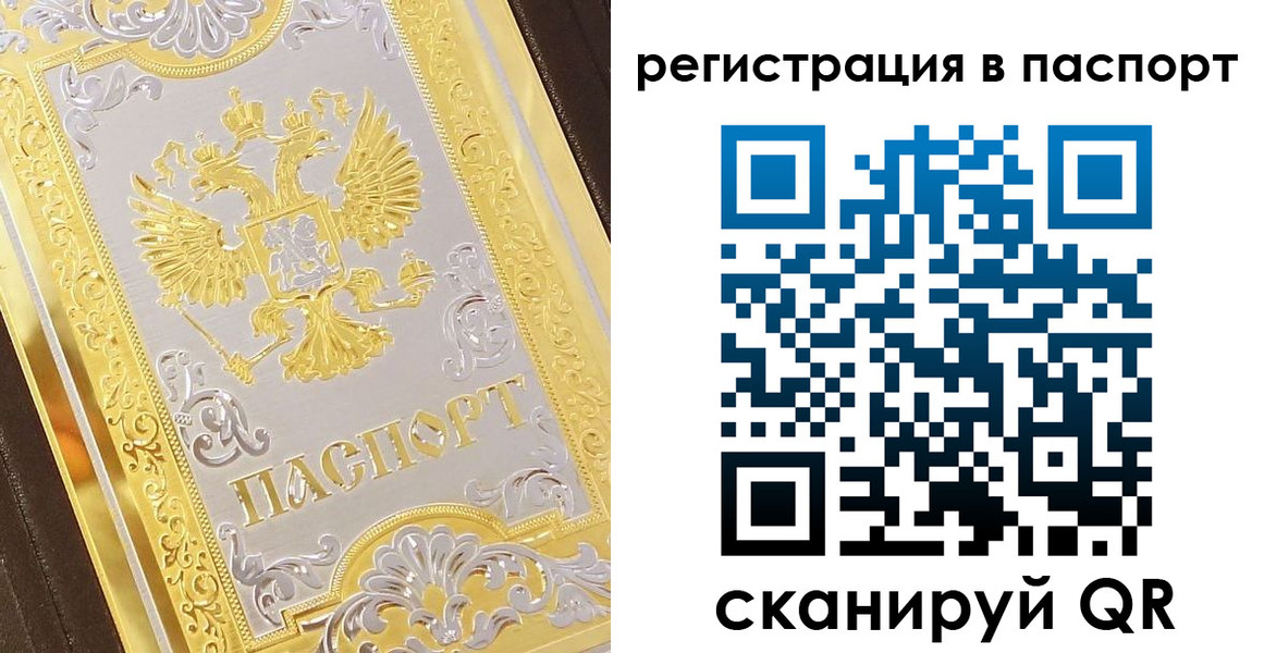 прописка 2025 в Звенигово